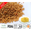 Polvo de extracto de semilla de alholva 100% natural de alta calidad en polvo 4-hydroxyisoleucine 5% a granel